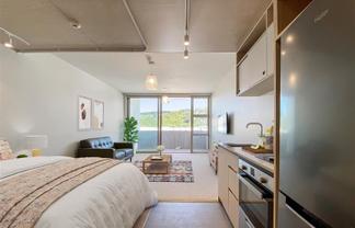 303/2 Campbell Terrace, Petone