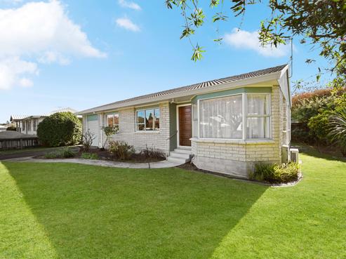 15 Bains Avenue, Hamilton East