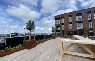 517B/20 Park Ave, Ellerslie