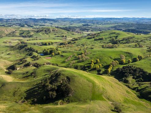 3503 Porangahau Road, Porangahau