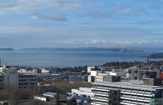 2401/8 Airedale Street, Queens Residence , Auckland Central