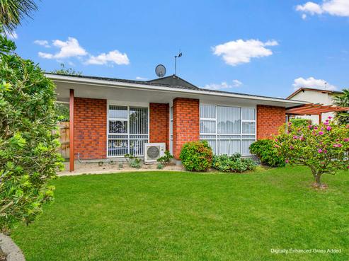 45 Dittmer Drive, Awapuni
