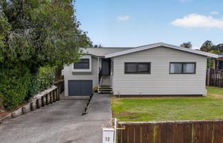 12 Velma Crescent, Nawton