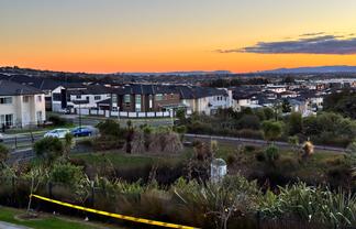 7 Fricker Way, Flat Bush