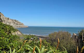 1475 Cape Palliser Road, Te Kopi, Cape Palliser