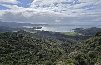 Lot 73, NW71 S71 Aotea Parish Station Rock Road, Great Barrier Island (Aotea Island)