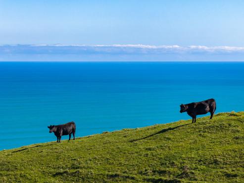 767 Te Akau Coast Road, Te Akau
