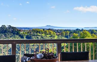 378E Ara-Kotinga, Whitford
