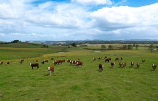 194 Toia Road, Okaihau