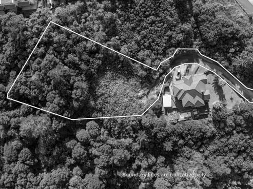 31 Living Stream Road, Albany Heights