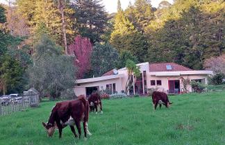 270 Maunu Road, Horahora