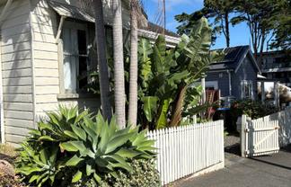 238 Richmond Road, Grey Lynn