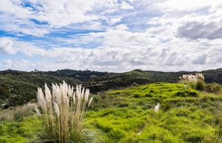 Lot 8/670 Bickerstaffe Road, Maungaturoto