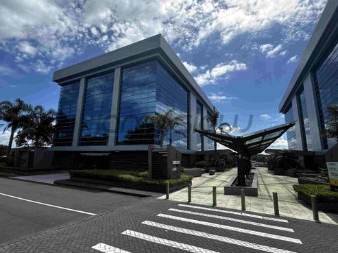 61 Constellation Drive, Rosedale