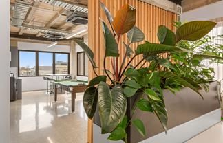 Secure One or Two Full CBD Office Floors