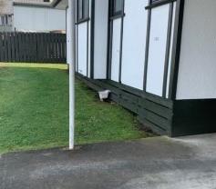 106  Porangahau Road, Waipukurau and Surrounds