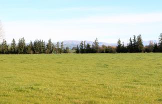  Totara Valley Road, Pleasant Point