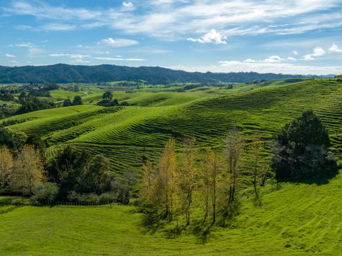 1572 Ruapekapeka Road, Kawakawa