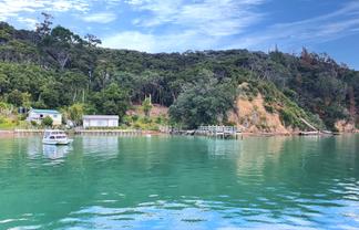 219-222/DP7675 Bon Accord Harbour, Kawau Island