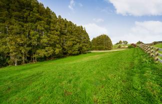 Lots 2 and Smithville Road, Kamo