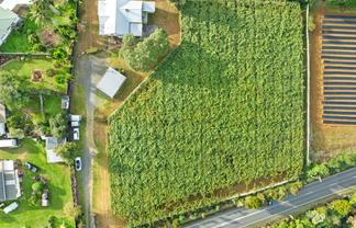 988 Otaika Valley Rd, Maungatapere
