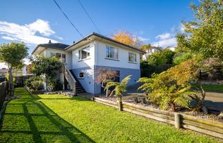 1/3 Douglas Road, Wakatu