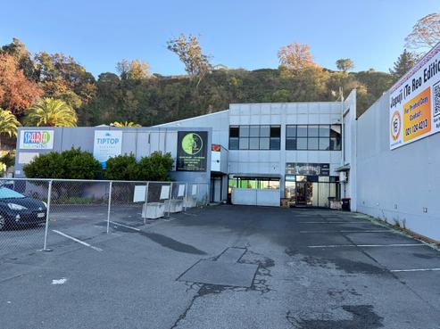 17 Carlyle Street, Napier South