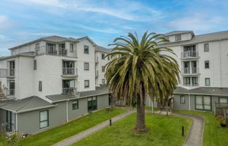 5C/13 Palm Grove, Berhampore