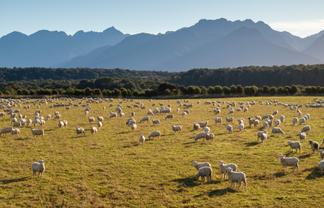 1223 Manapouri Te Anau Highway, Manapouri