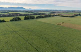 728 Valetta Westerfield Road, Ashburton
