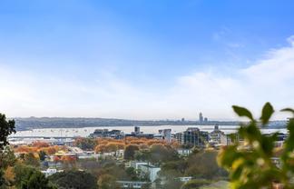2A/15 Hopetoun Street, Freemans Bay