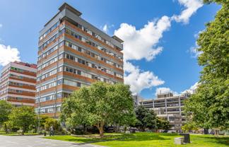 6A/37 Federal Street, Auckland Central