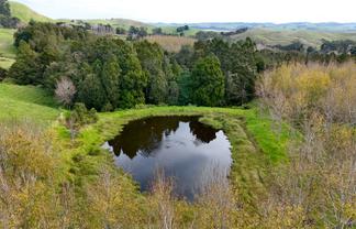 4062 Kaipara Coast Highway, Tauhoa
