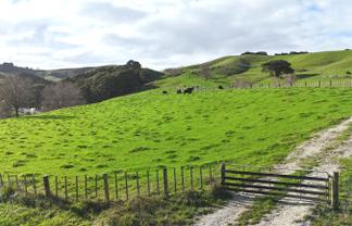 4326 Kaipara Coast Highway, Tauhoa