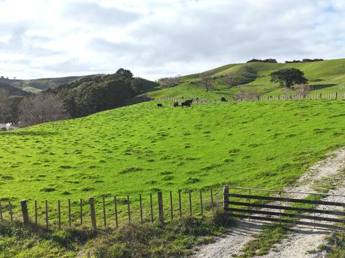4326 Kaipara Coast Highway, Tauhoa