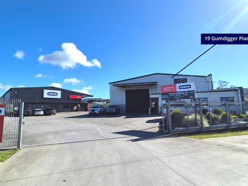 19 Gumdigger Place, Raumanga
