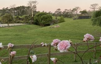 348A Horseshoe Bush Road, Dairy Flat