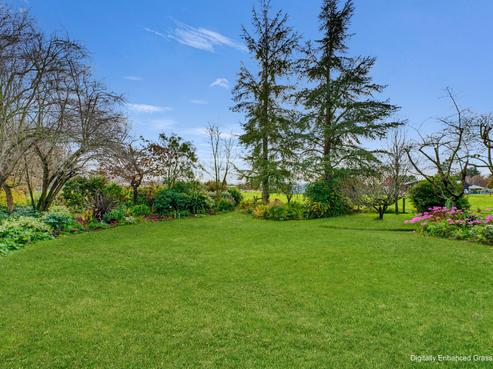 17 Totara Street, Pleasant Point
