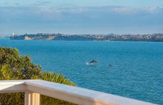 819 Whangaparaoa Road, Manly