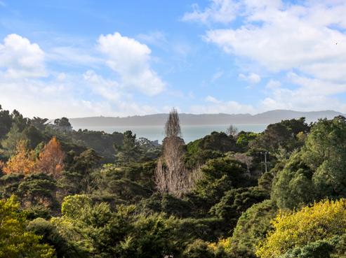 44 Rewa Road, Maraetai