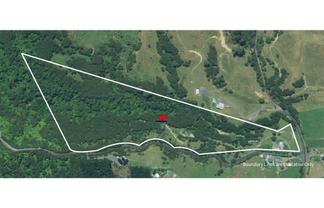 323 Quine Road, Tahuna