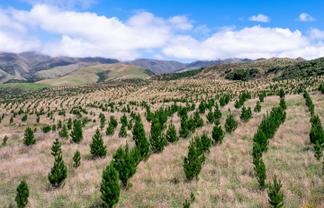  475 Elders Road, Maungati