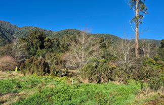 State Highway, Franz Josef Glacier