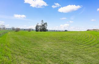 Lot 2 Landsdowne Road, Matamata
