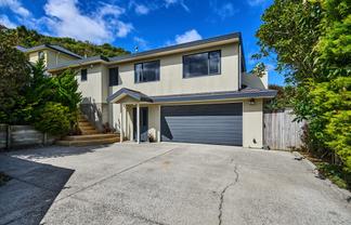 22 Domanski Crescent, Owhiro Bay