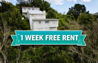 146 Champion St, Cannons Creek