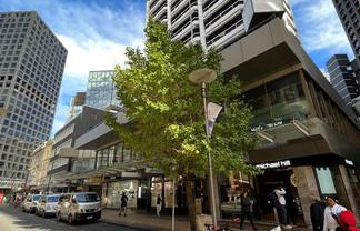 Office floor on Lambton Quay