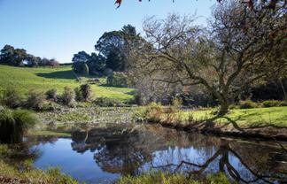 Lot 1 46 Keaney Road, Ararimu