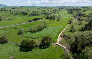 519 State Highway 1, Piarere