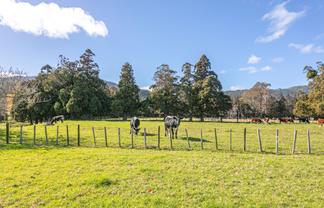315 & 315A Woollams Avenue, Coromandel